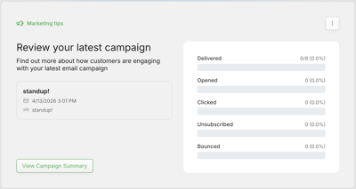 13-CampaignPerformance